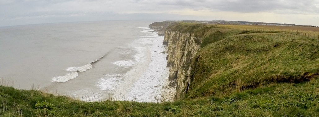 Bempton Cliffs to Flamborough Head Walk featured image