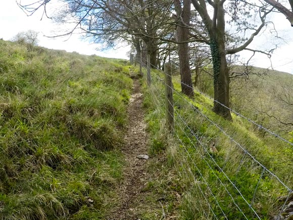 Dovedale to Milldale Walk 19