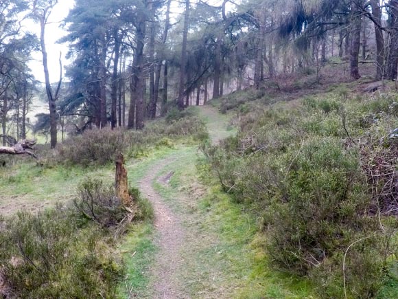 Luds Church to Hen Cloud 59